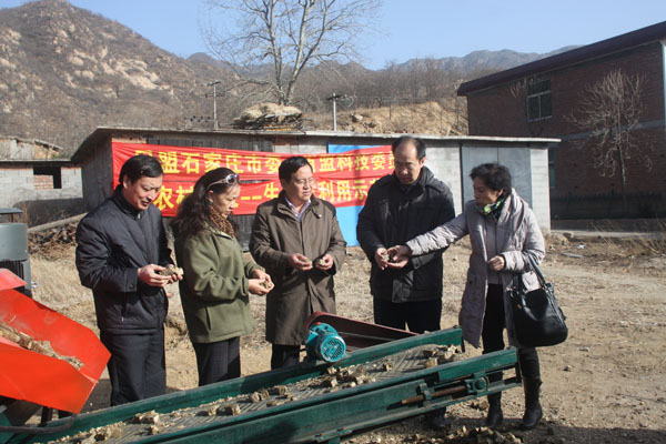 鲁平副主委赴平山石板村考察生物质利用示范项目(图1)