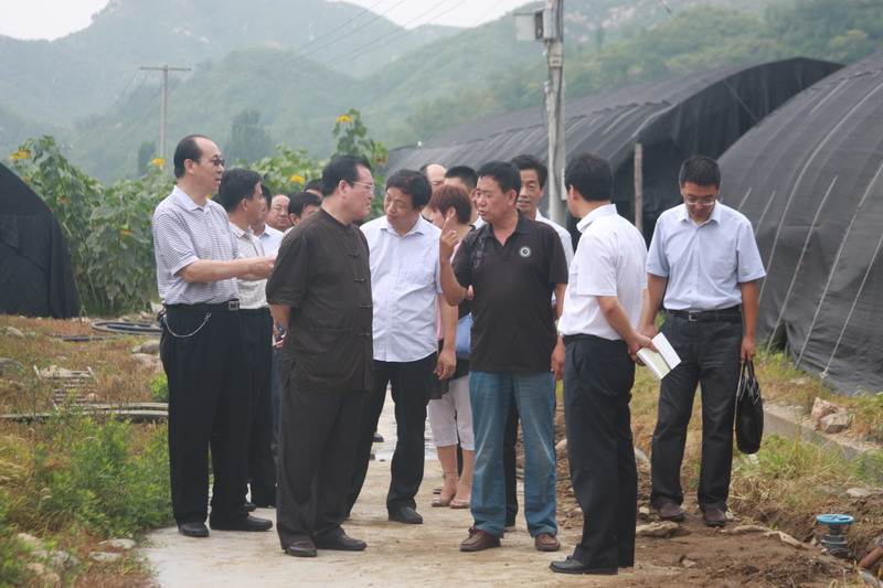 边发吉主委就《加快太行山区生态产业发展》赴保定市阜平县调研(图2)