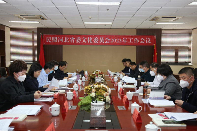 民盟河北省第十二届委员会文化委员会召开2023年工作会议(图1)