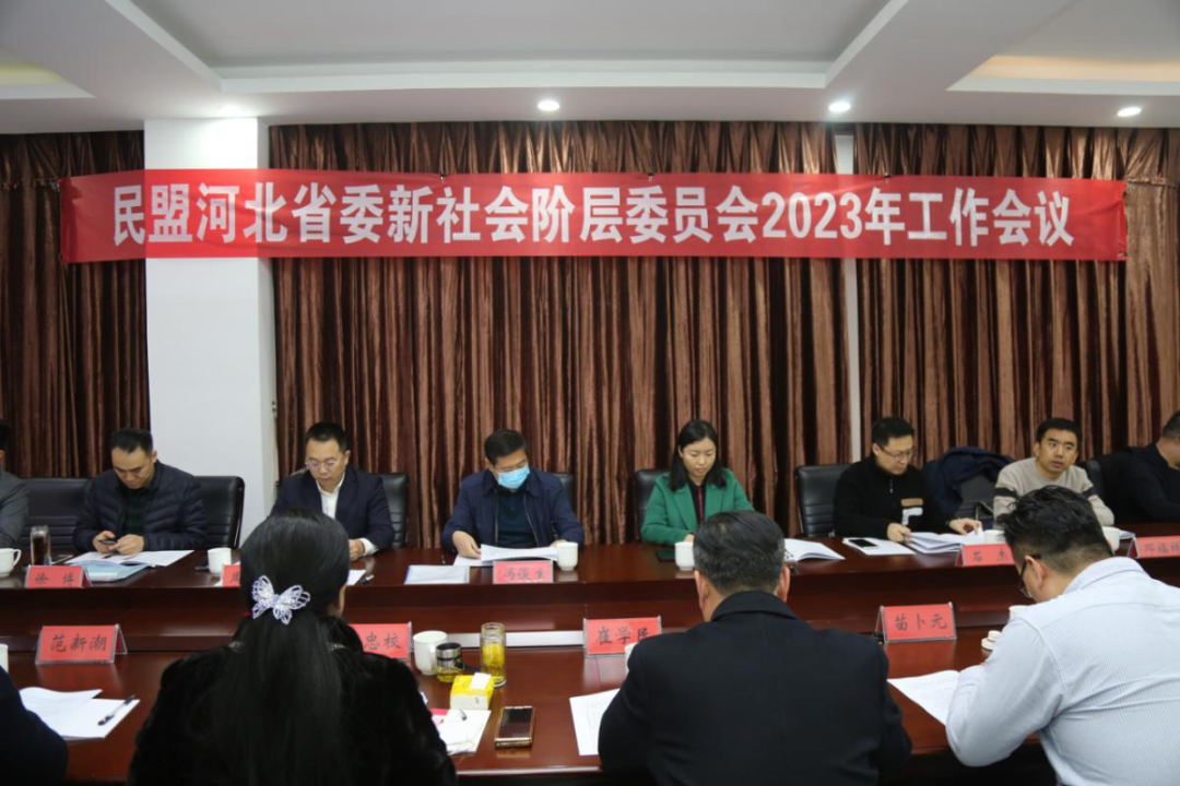 民盟河北省委召开新社会阶层工作委员会2023年度工作会议(图1)