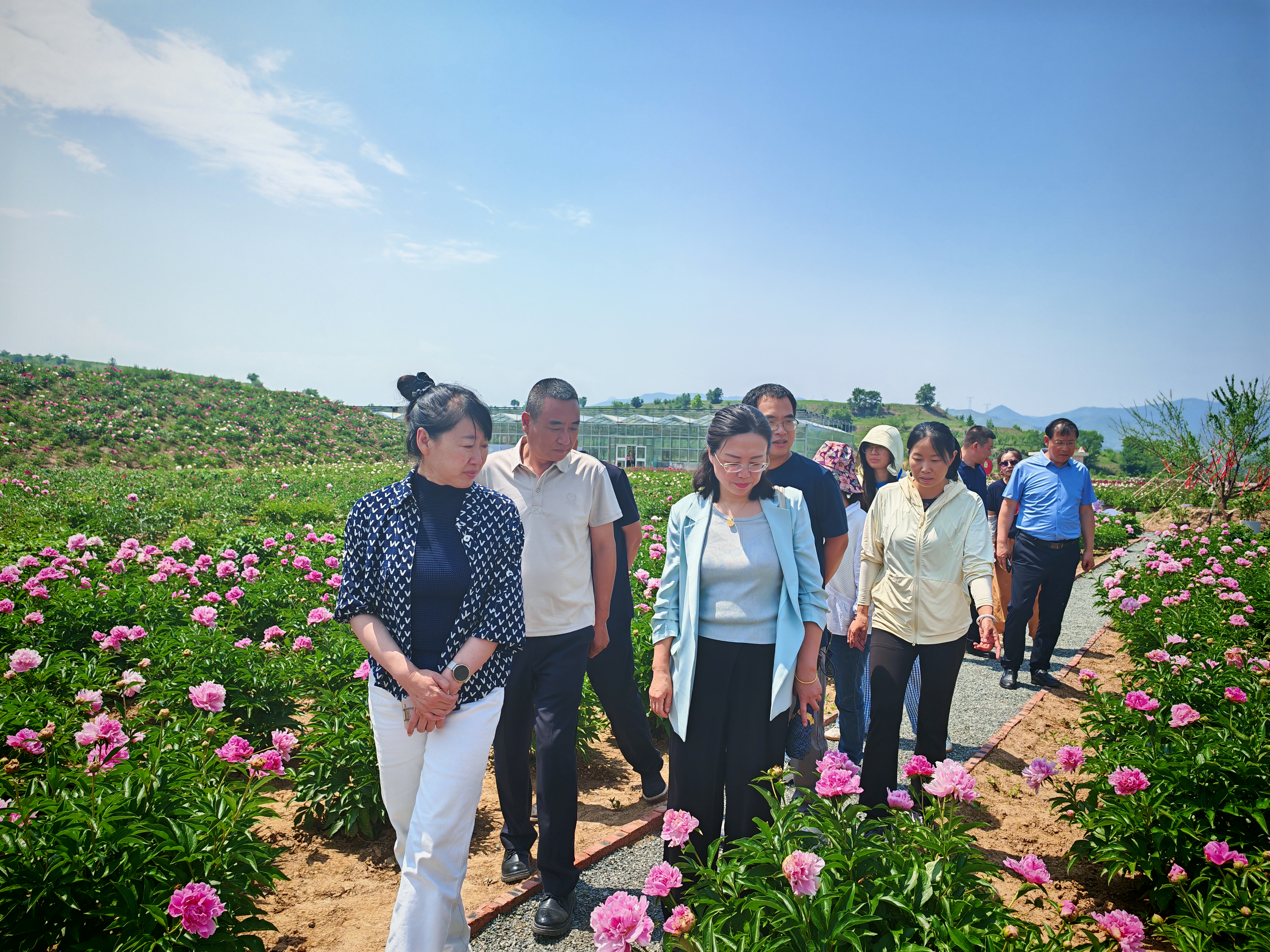 民盟市委调研组赴赤城县开展调研(图1) 民盟市委调研组赴赤城县开展调研(图1)