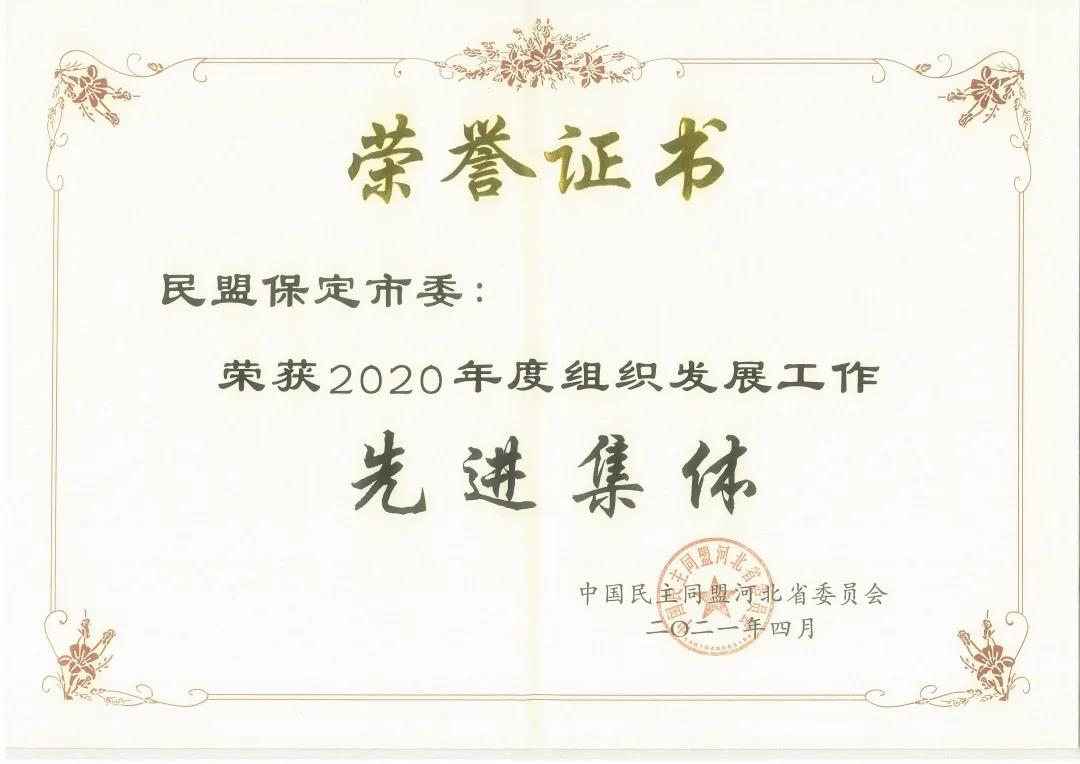 民盟保定市委2020年度多项工作荣获民盟省委表彰(图6)