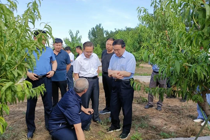 杨玉成副主委带队赴衡水深州市、饶阳县进行专题调研(图1)